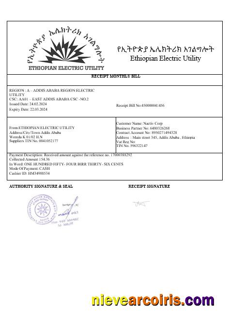 Ethiopian electric business utility bill